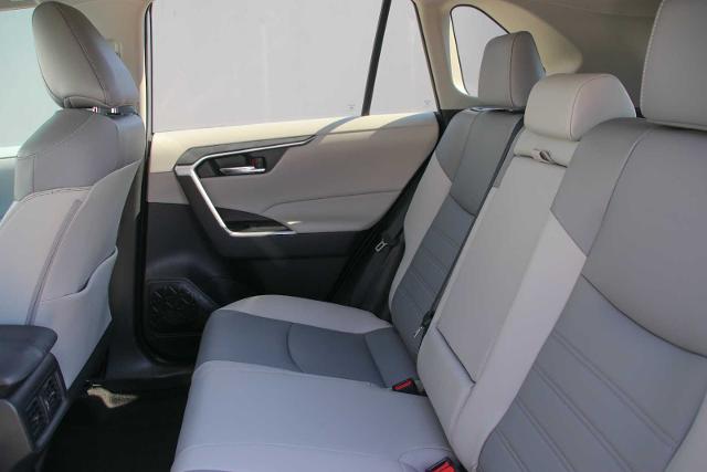 2022 Toyota RAV4 Vehicle Photo in SUGAR LAND, TX 77478