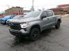 Used 2023 Chevrolet Silverado 1500 LT Trail Boss with VIN 3GCUDFED2PG151495 for sale in Colon, MI