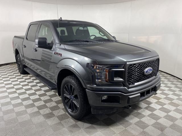 2019 Ford F-150 Vehicle Photo in MEDINA, OH 44256-9001