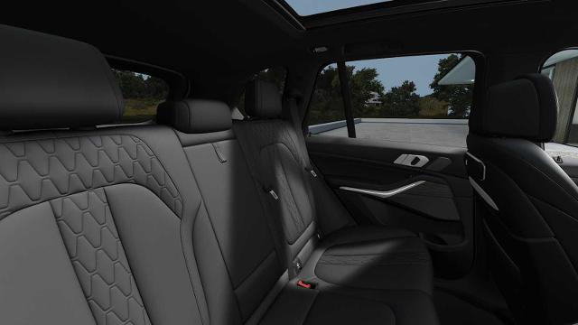 2025 BMW X5 xDrive50e Vehicle Photo in GRAPEVINE, TX 76051