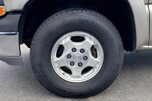 2002 Chevrolet Silverado 1500 Vehicle Photo in INDEPENDENCE, MO 64055-1377