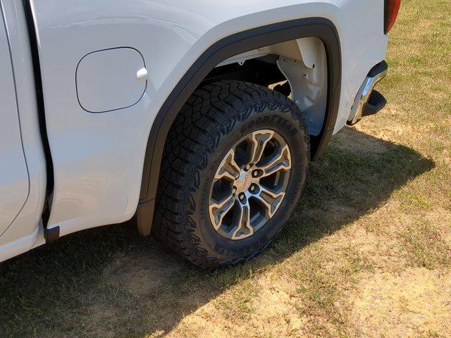 2024 GMC Sierra 1500 Vehicle Photo in ALBERTVILLE, AL 35950-0246