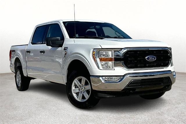 2021 Ford F-150 Vehicle Photo in San Antonio, TX 78230