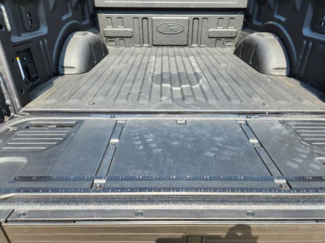 2025 Ford F-150 Vehicle Photo in DENTON, TX 76210-9321