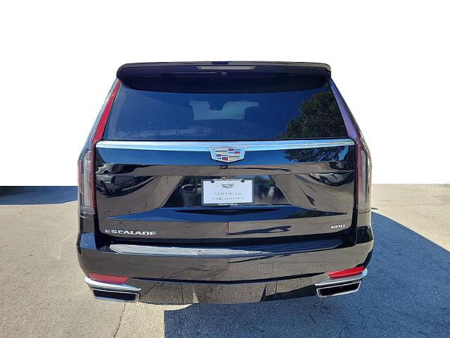 2023 Cadillac Escalade ESV Vehicle Photo in POMPANO BEACH, FL 33064-7091