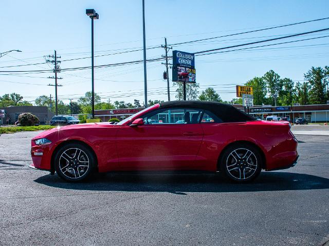 2023 Ford Mustang Vehicle Photo in MADISON, IN 47250-1611