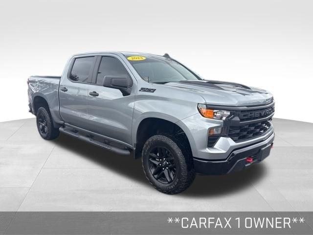 2024 Chevrolet Silverado 1500 Vehicle Photo in Fishers, IN 46038