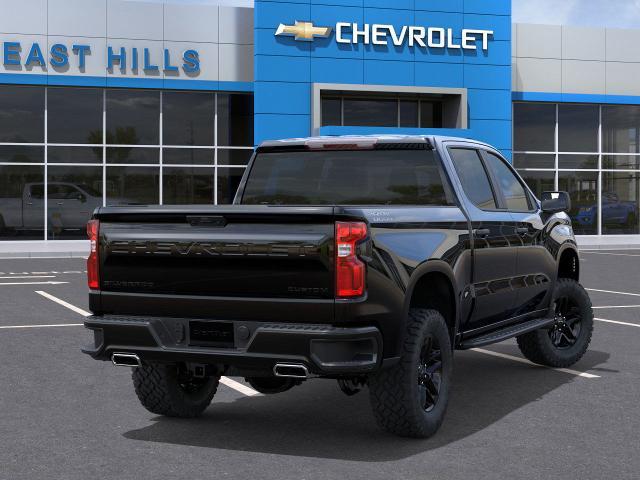 2025 Chevrolet Silverado 1500 Vehicle Photo in Roslyn, NY 11576
