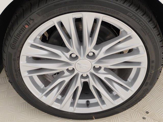 2025 Cadillac CT4 Vehicle Photo in PINEVILLE, NC 28134-8495