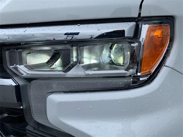 2025 Chevrolet Silverado 1500 Vehicle Photo in POST FALLS, ID 83854-5365