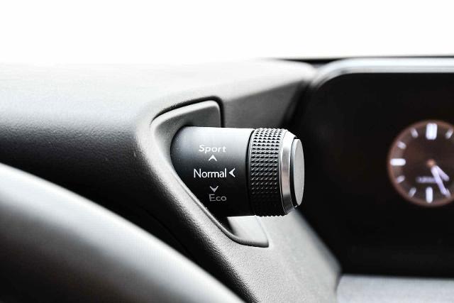 2022 Lexus UX 250h Vehicle Photo in DALLAS, TX 75235