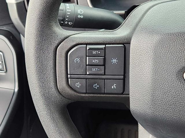 2023 Ford F-150 Vehicle Photo in PLANO, TX 75024