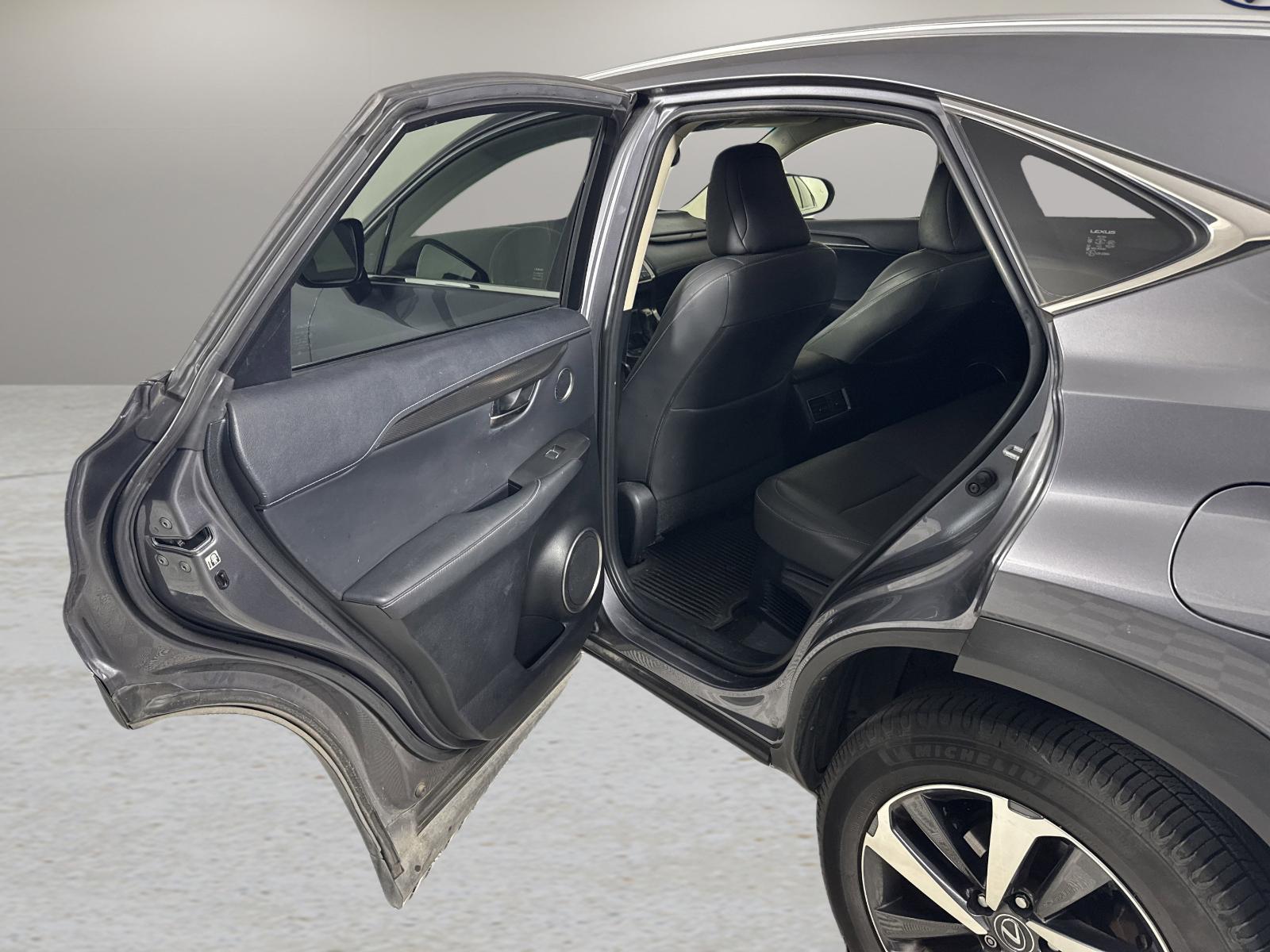 2019 Lexus NX 300 Vehicle Photo in Georgetown, TX 78626