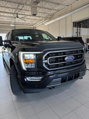 2023 Ford F-150 Vehicle Photo in Peoria, IL 61615