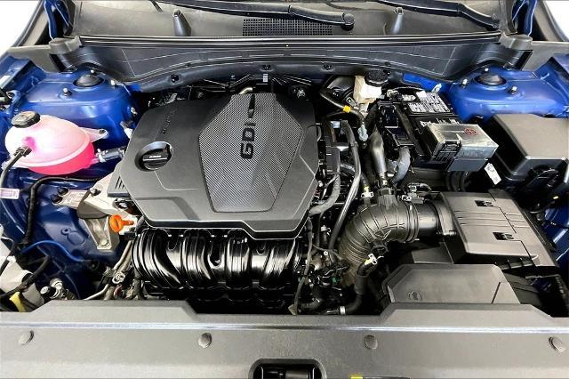 2024 Kia Sportage Vehicle Photo in San Antonio, TX 78230