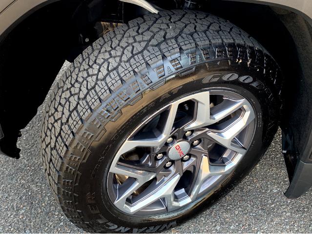 2023 GMC Sierra 1500 Vehicle Photo in BEAUFORT, SC 29906-4218