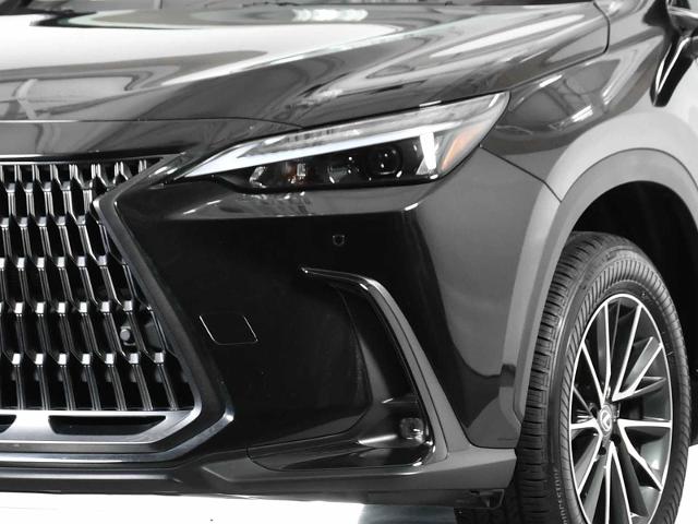 2025 Lexus NX 250 Vehicle Photo in DALLAS, TX 75235