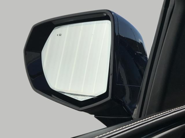 2021 Cadillac Escalade ESV Vehicle Photo in GREEN BAY, WI 54303-3330