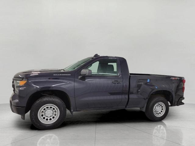 2024 Chevrolet Silverado 1500 Vehicle Photo in APPLETON, WI 54914-4656