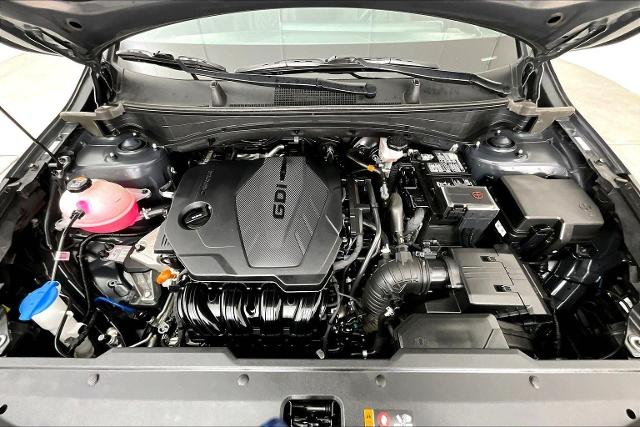 2024 Kia Sportage Vehicle Photo in San Antonio, TX 78230