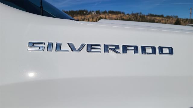 2025 Chevrolet Silverado 1500 Vehicle Photo in FLAGSTAFF, AZ 86001-6214