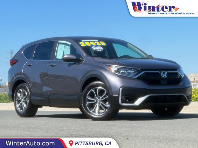 2022 Honda CR-V Vehicle Photo in PITTSBURG, CA 94565-7121