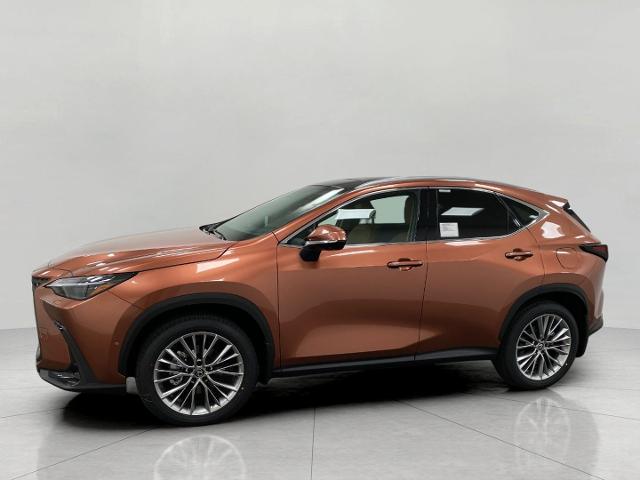 2025 Lexus NX 350 Vehicle Photo in Appleton, WI 54913
