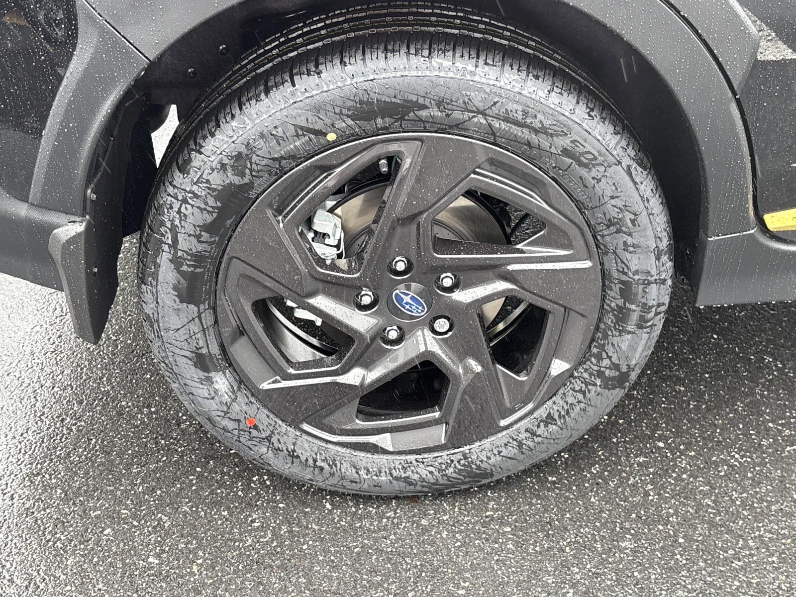 2025 Subaru Crosstrek Vehicle Photo in Mechanicsburg, PA 17050