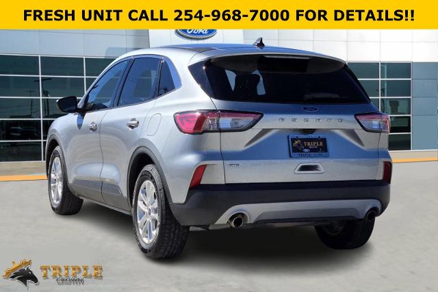 2022 Ford Escape Vehicle Photo in STEPHENVILLE, TX 76401-3713