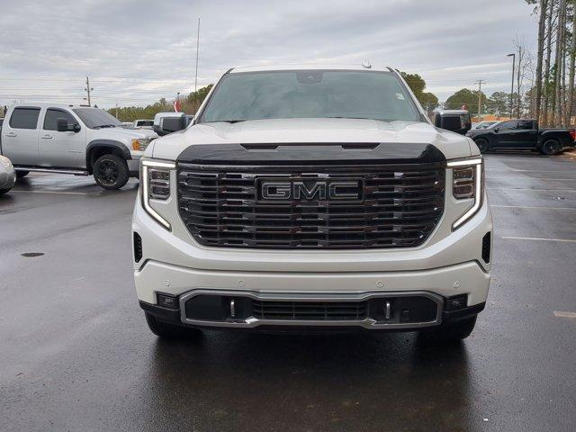 2025 GMC Sierra 1500 Vehicle Photo in ALBERTVILLE, AL 35950-0246