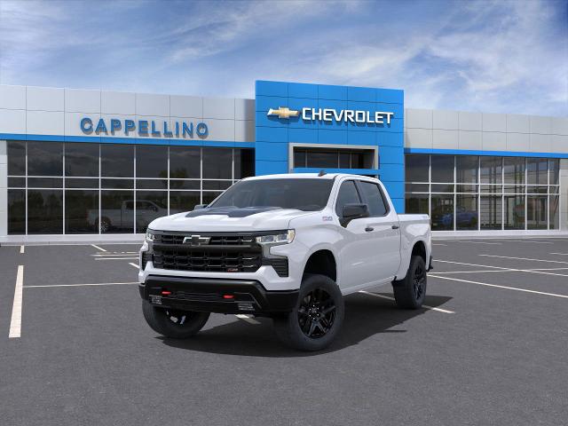 2025 Chevrolet Silverado 1500 Vehicle Photo in BOSTON, NY 14025-9684