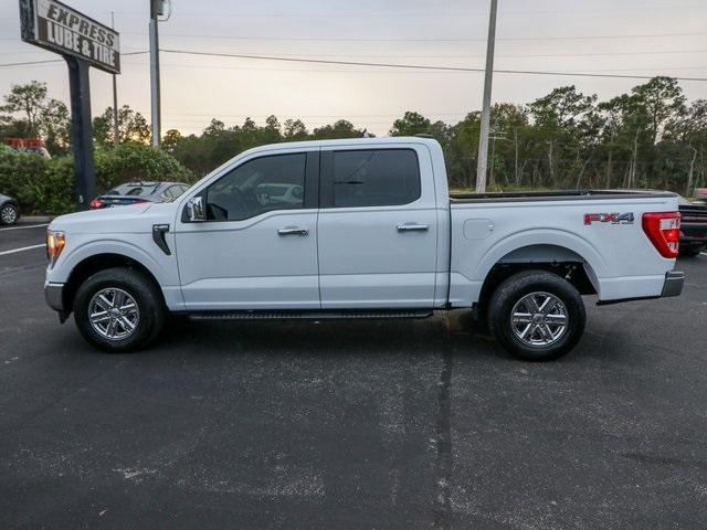 2022 Ford F-150 Vehicle Photo in HOMOSASSA, FL 34448-1461