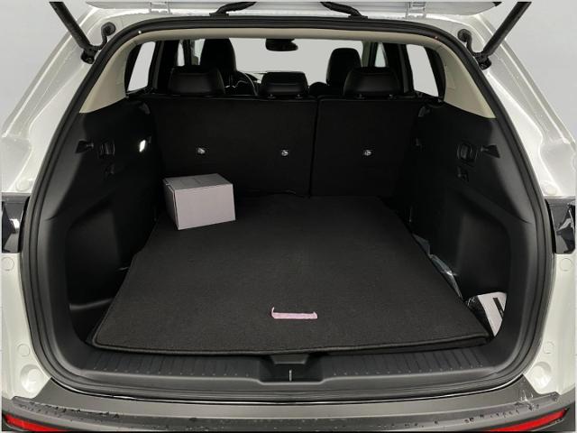 2025 Mazda CX-50 Vehicle Photo in Appleton, WI 54913