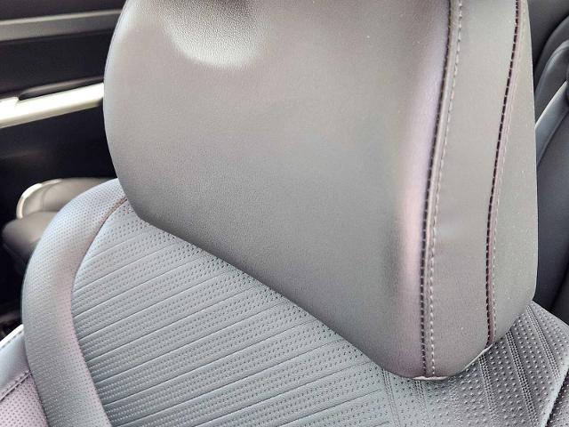 2025 Hyundai PALISADE Vehicle Photo in DENTON, TX 76210-9321
