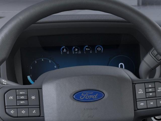 2025 Ford F-150 Vehicle Photo in Oshkosh, WI 54901