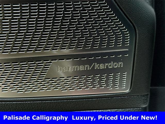 2025 Hyundai Palisade Vehicle Photo in EVERETT, WA 98203-5662