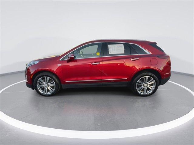 2024 Cadillac XT5 Vehicle Photo in BOWLING GREEN, KY 42104-4102