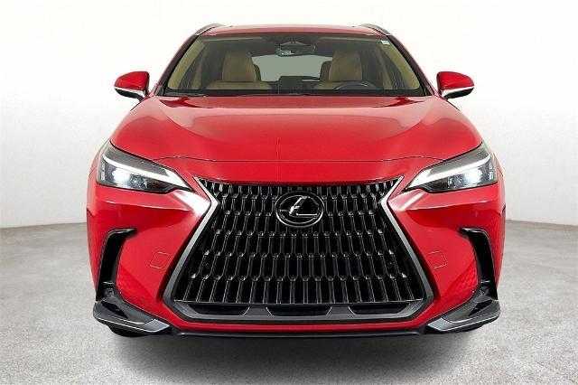 2024 Lexus NX 250 Vehicle Photo in Tulsa, OK 74129