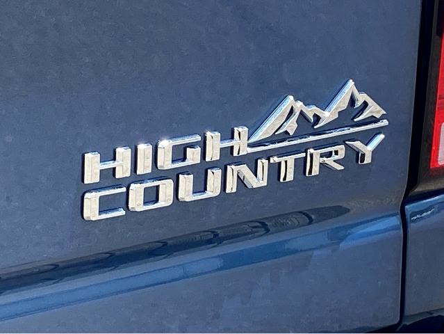 2025 Chevrolet Silverado 2500 HD Vehicle Photo in SAVANNAH, GA 31406-4513