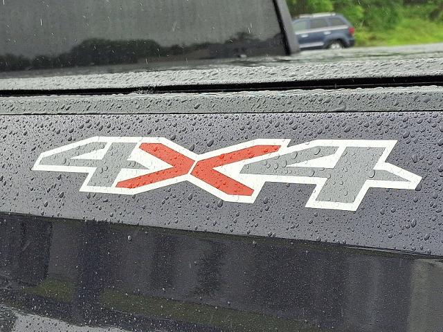 2024 Chevrolet Silverado 1500 Vehicle Photo in TREVOSE, PA 19053-4984