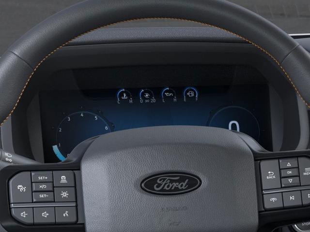 2025 Ford F-150 Vehicle Photo in Neenah, WI 54956