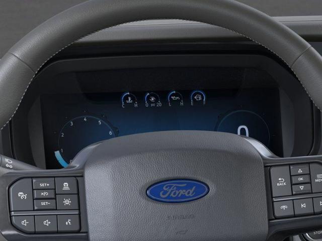 2025 Ford F-150 Vehicle Photo in Weatherford, TX 76087