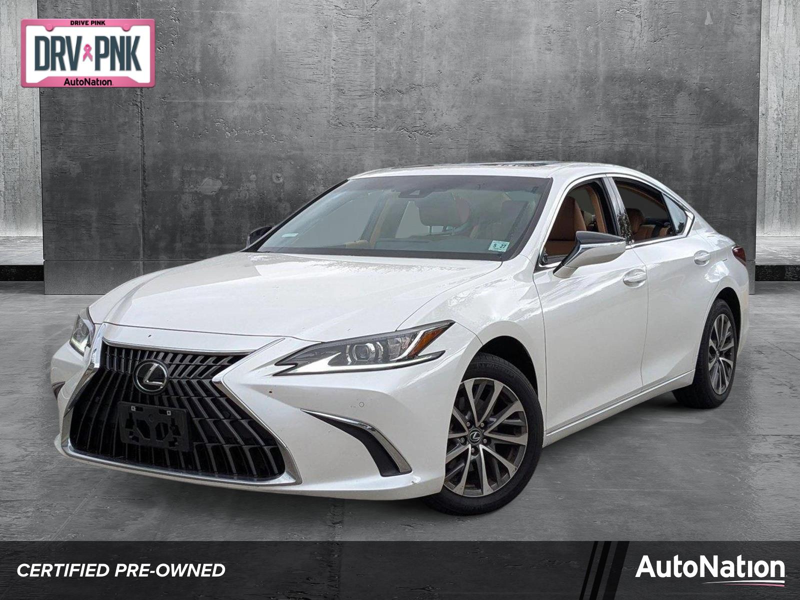 2022 Lexus ES 250 Vehicle Photo in West Palm Beach, FL 33417