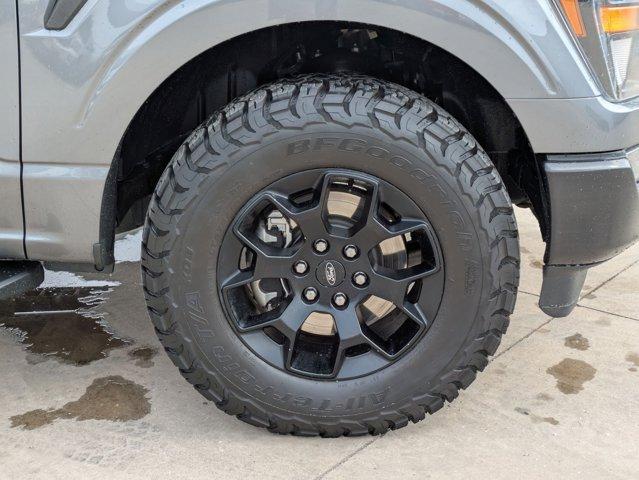 2023 Ford F-150 Vehicle Photo in SELMA, TX 78154-1460