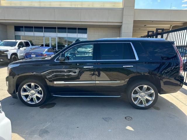 2019 Cadillac Escalade Vehicle Photo in San Antonio, TX 78230