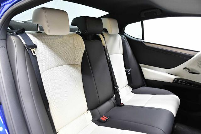 2022 Lexus ES 300h Vehicle Photo in DALLAS, TX 75235