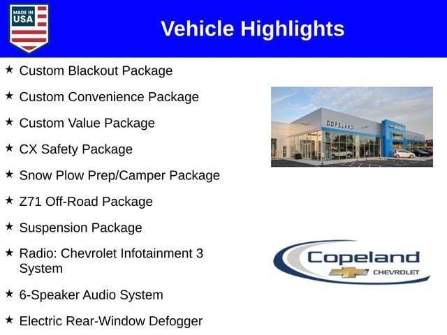 2025 Chevrolet Silverado 2500 HD Vehicle Photo in BROCKTON, MA 02301-7113