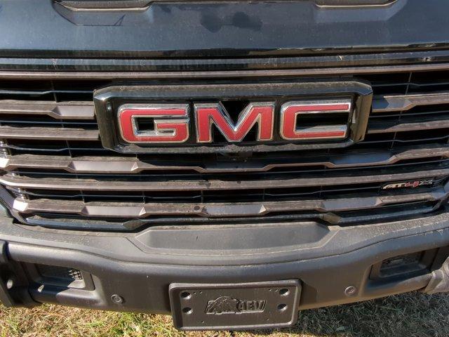 2025 GMC Sierra 1500 Vehicle Photo in ALBERTVILLE, AL 35950-0246