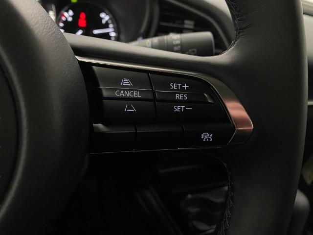 2025 Mazda CX-30 Vehicle Photo in Appleton, WI 54913