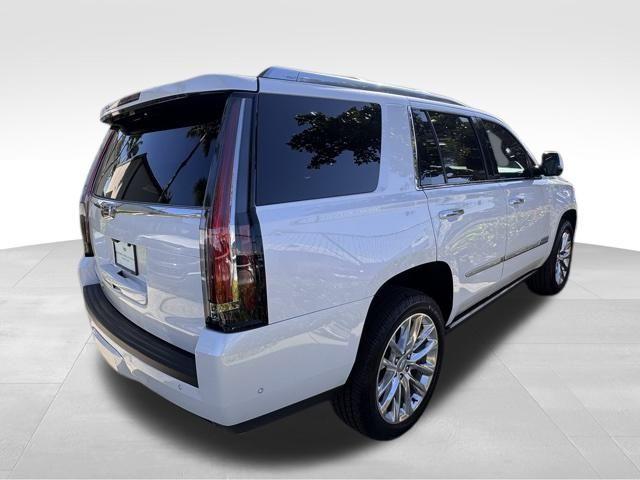 2019 Cadillac Escalade Vehicle Photo in DELRAY BEACH, FL 33483-3294
